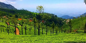 Ooty Mysore Coorg DLX (23 Dec 2026)